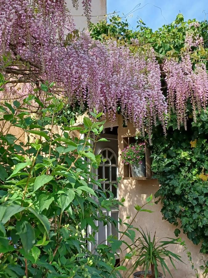 Suite Avec Jardin Entre Aix En Provence, Luberon Et Verdon Peyrolles-en-Provence Ngoại thất bức ảnh